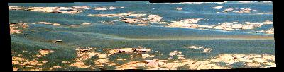 False Color Thumb