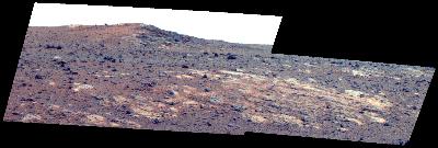 False Color Thumb