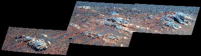 False Color Thumb