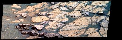 False Color Thumb