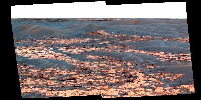 False Color Thumb
