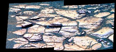 False Color Thumb