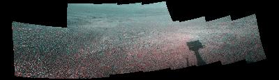 False Color Thumb