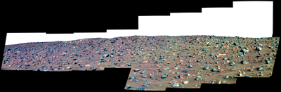 False Color Thumb
